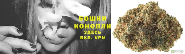 крисы Нея