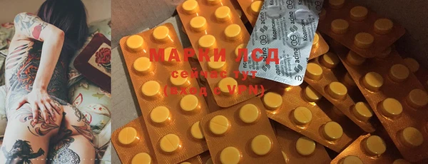 крисы Нея