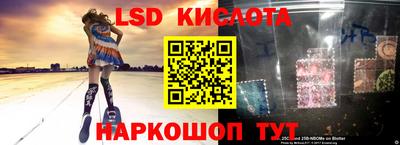 трава Кандалакша