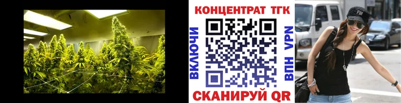 ТГК концентрат  Нижневартовск 