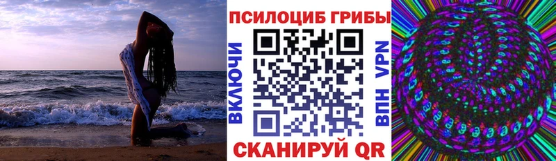 купить   Нижневартовск  Псилоцибиновые грибы прущие грибы 