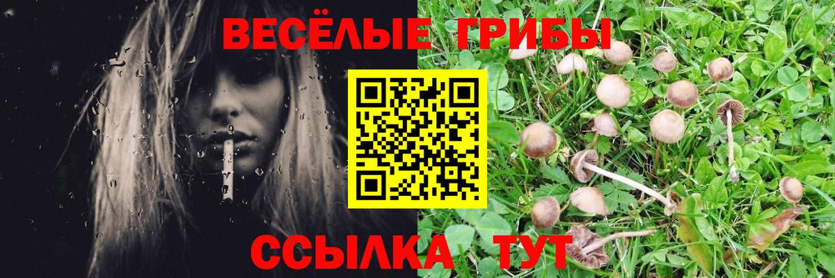 Галлюциногенные грибы мицелий Нижневартовск