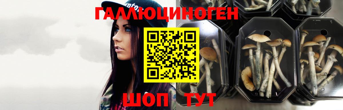 Галлюциногенные грибы ЛСД Нижневартовск